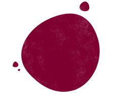 Number of federal ministers who were in the presentation. 