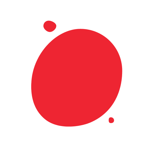 Canadians who presented the strategy to leaders and decision makers at the 2019 Summit. 